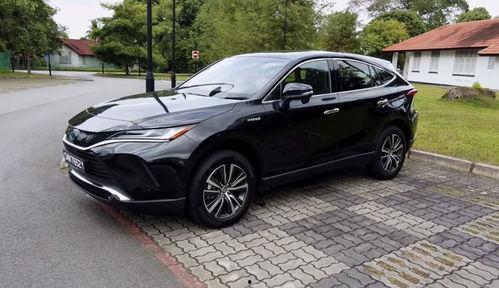 国产 12P,重塑产业格局 第2张 国产 12P,重塑产业格局 第2张