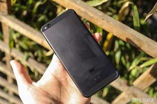 999国产,揭秘神秘国度的奇幻之旅 第3张 999国产,揭秘神秘国度的奇幻之旅 第3张