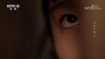 国产重口味视频 第3张 国产重口味视频 第3张